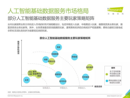 《2019年中國人工智能基礎數據服務行業白皮書》 基礎數據服務與軟件開發的雙輪驅動